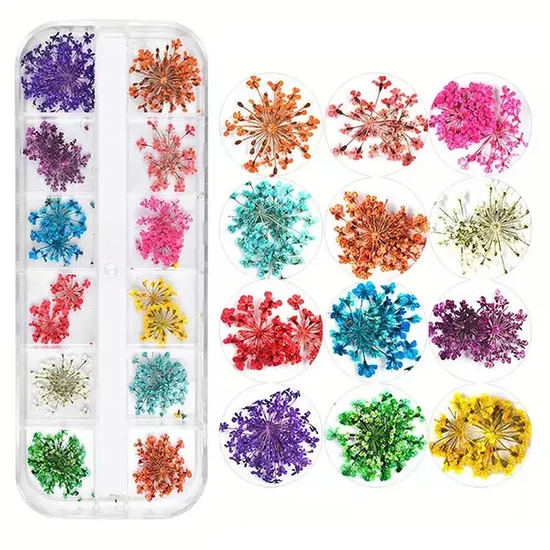 Szárított virágok – 12 darabos box