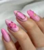 Pink orchidea